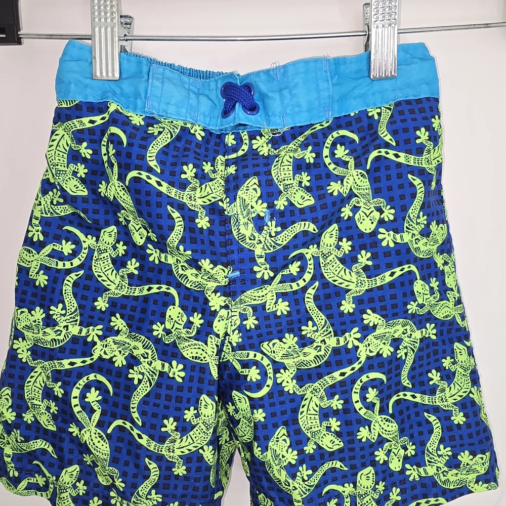 LILY And DAN Kids Swim‎ Trunks with Lizard Print - Blue and Green Boys